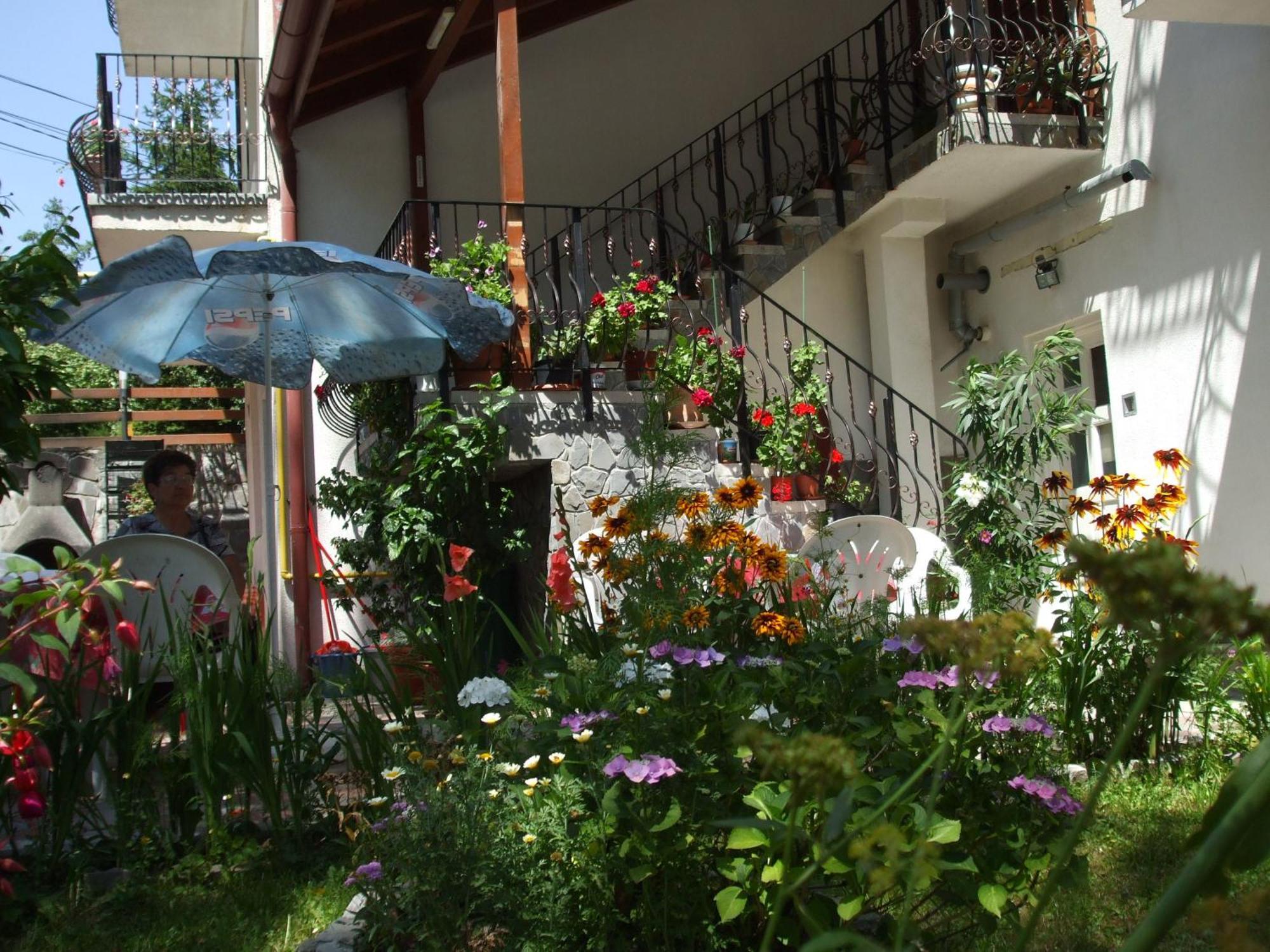Vila Ana-Maria Sinaia Exteriör bild