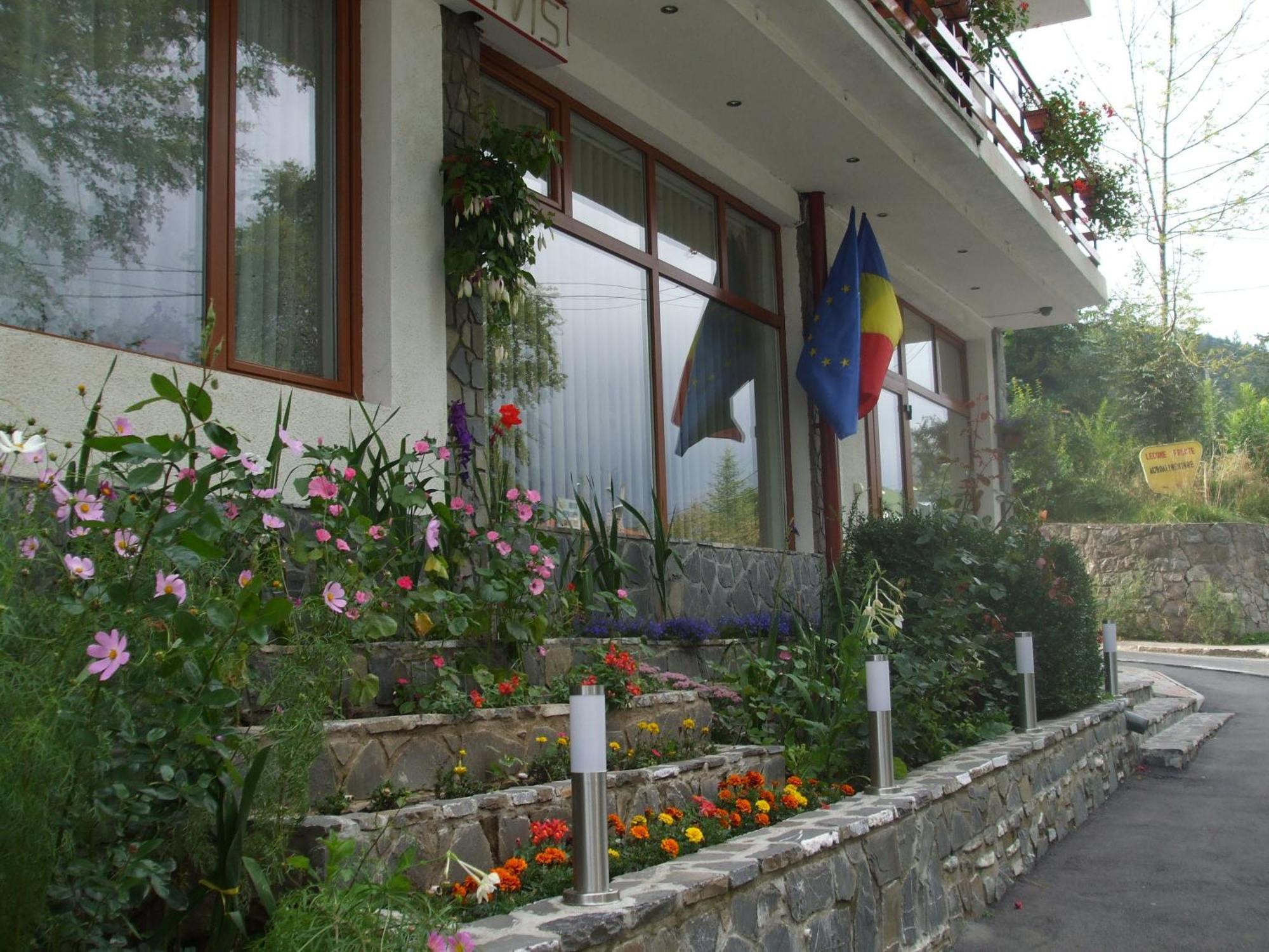 Vila Ana-Maria Sinaia Exteriör bild