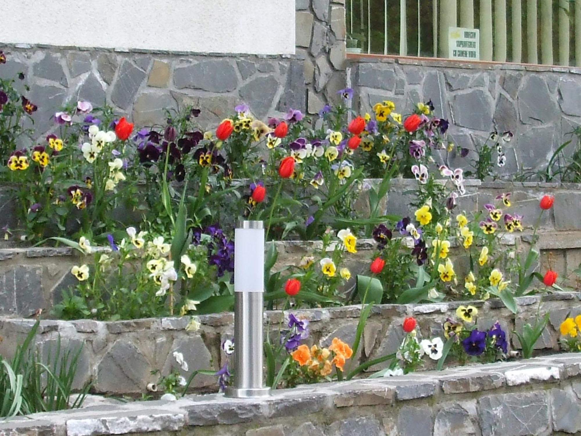 Vila Ana-Maria Sinaia Exteriör bild