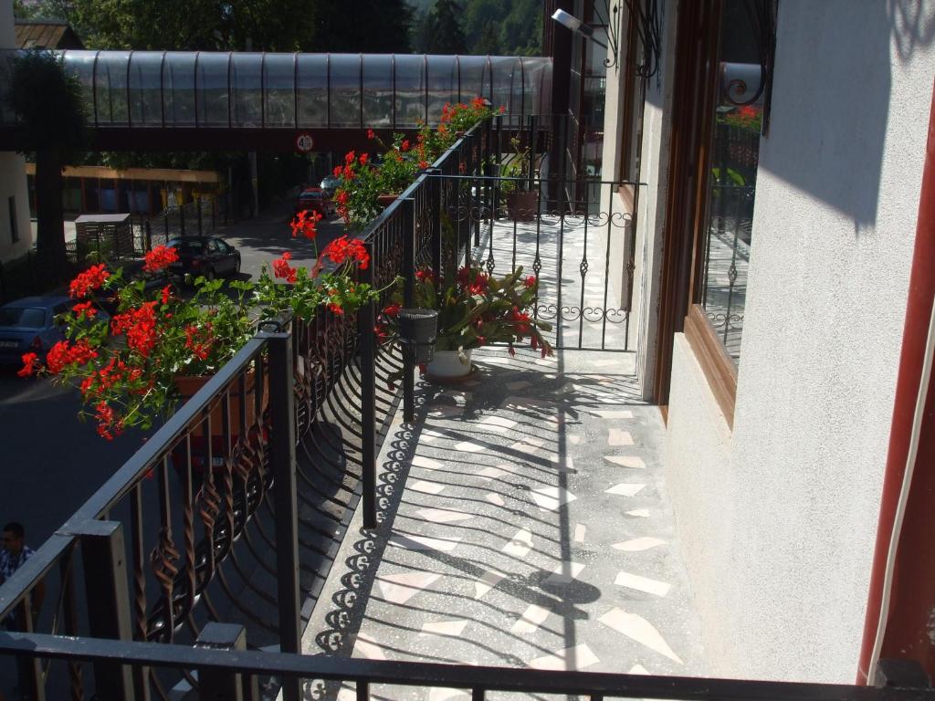 Vila Ana-Maria Sinaia Exteriör bild