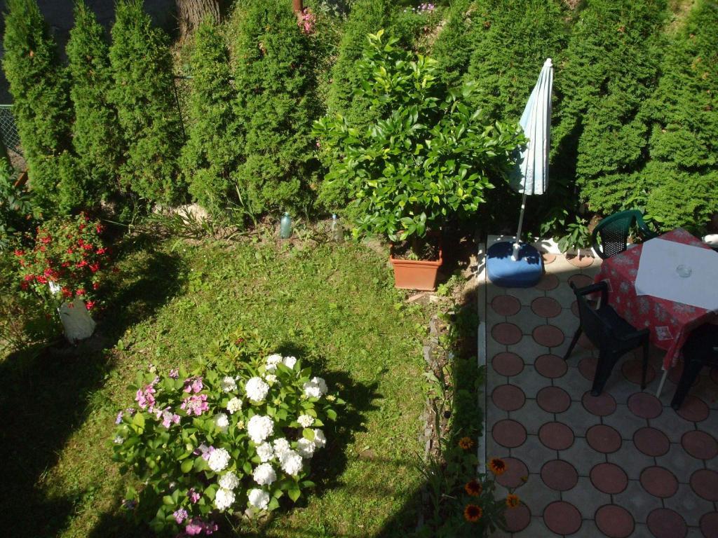 Vila Ana-Maria Sinaia Exteriör bild