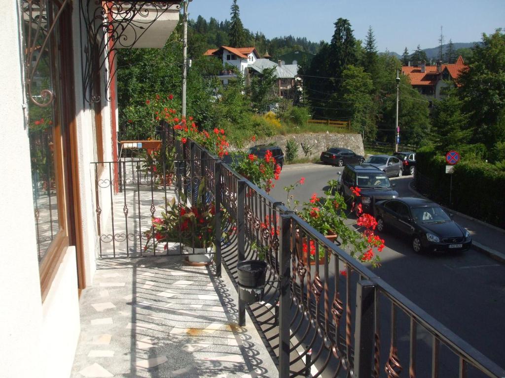 Vila Ana-Maria Sinaia Exteriör bild
